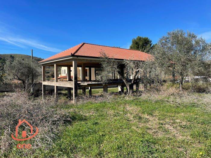 immagine annuncio 2 di 7