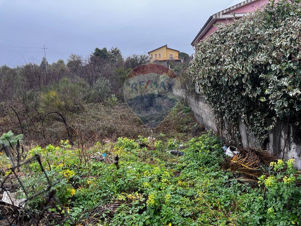 Terreno Agricolo in vendita a Mascalucia via Mompilieri, 43