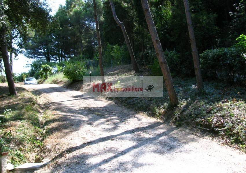 immagine annuncio 4 di 13