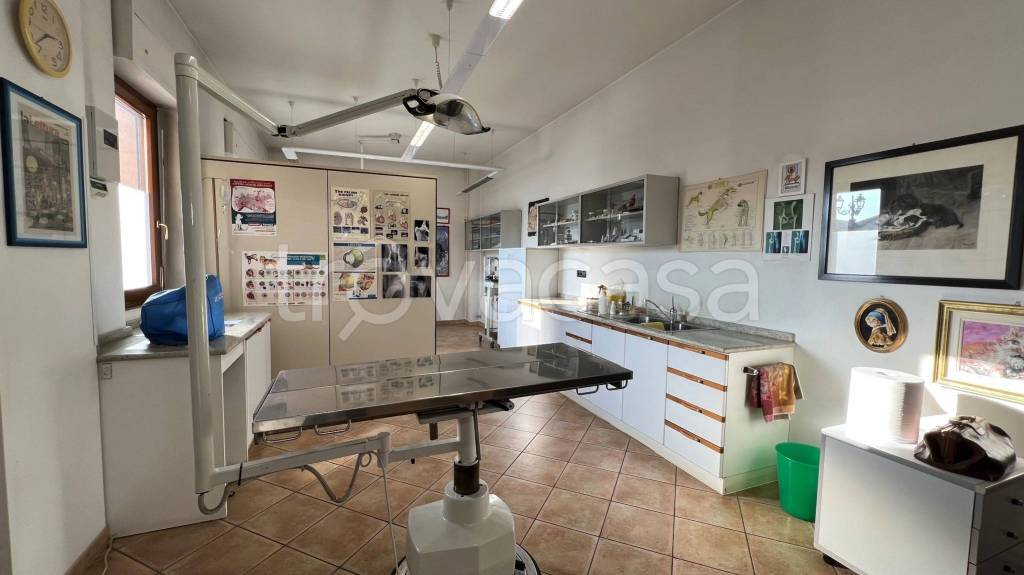 immagine annuncio 3 di 13