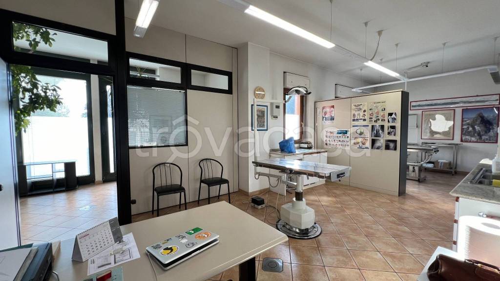 immagine annuncio 10 di 13