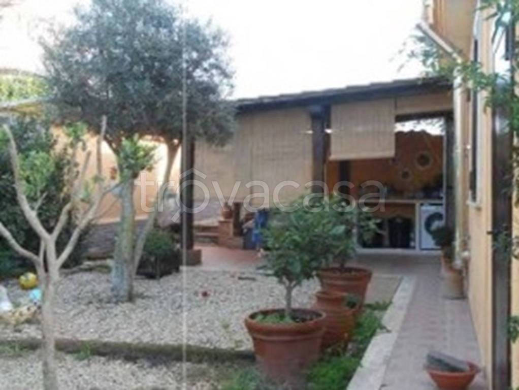 immagine annuncio 3 di 12