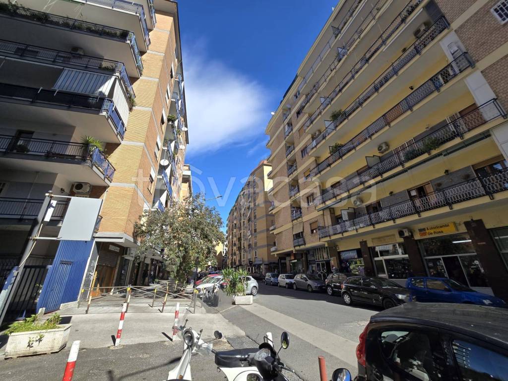 immagine annuncio 7 di 11