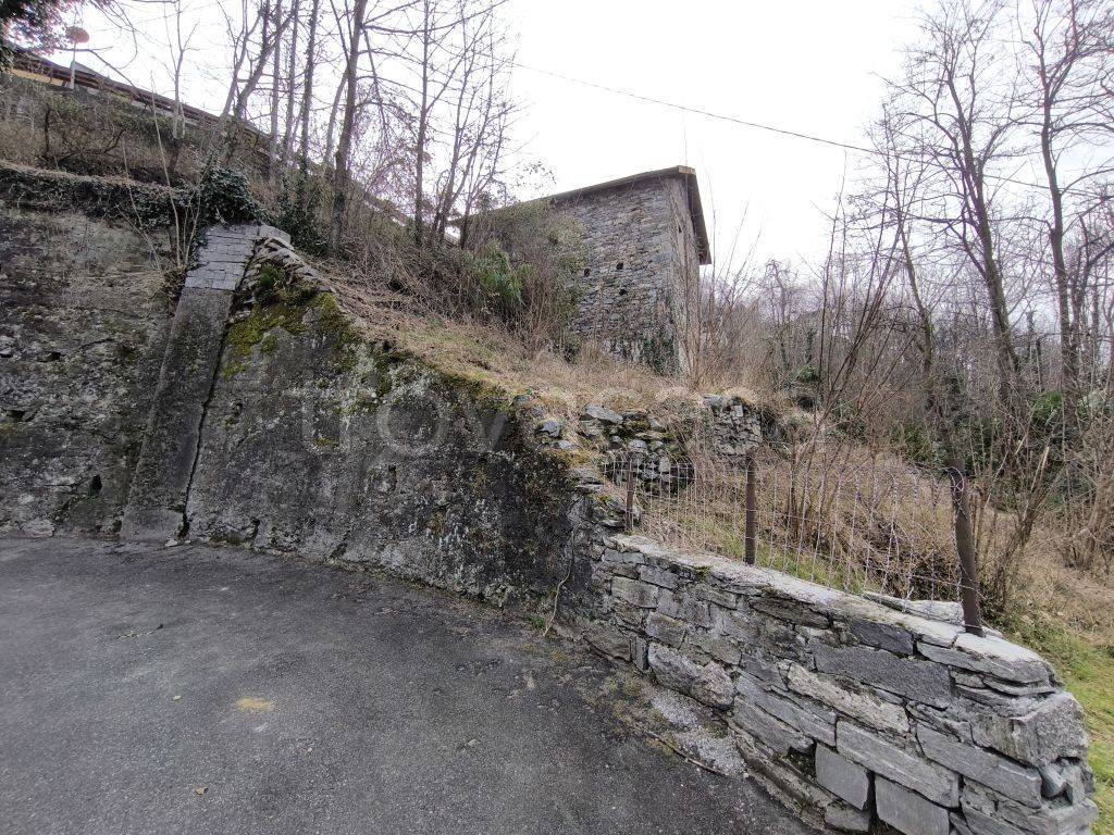 immagine annuncio 3 di 14