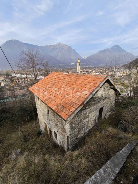 immagine annuncio 7 di 14