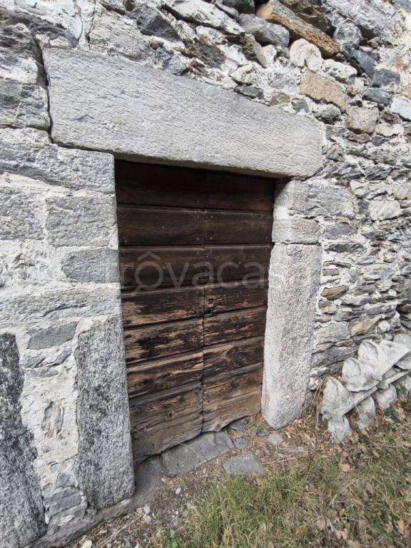 immagine annuncio 8 di 14