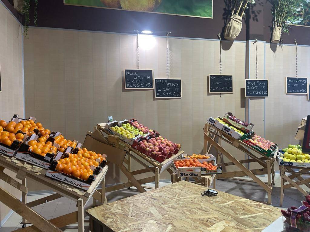 immagine annuncio 2 di 13