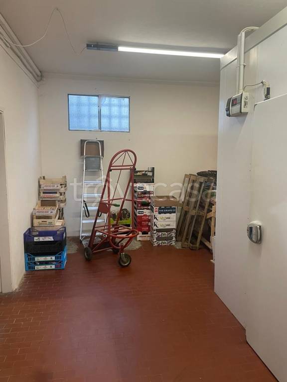 immagine annuncio 11 di 13