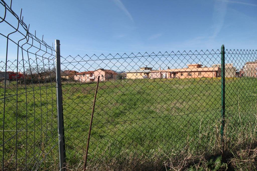 immagine annuncio 6 di 12