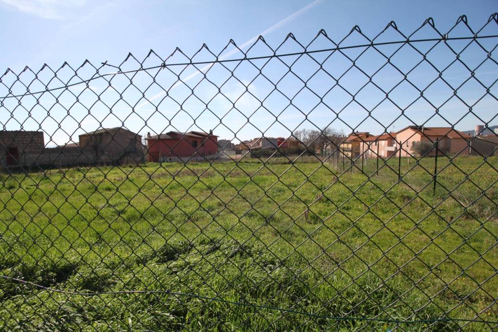 immagine annuncio 7 di 12