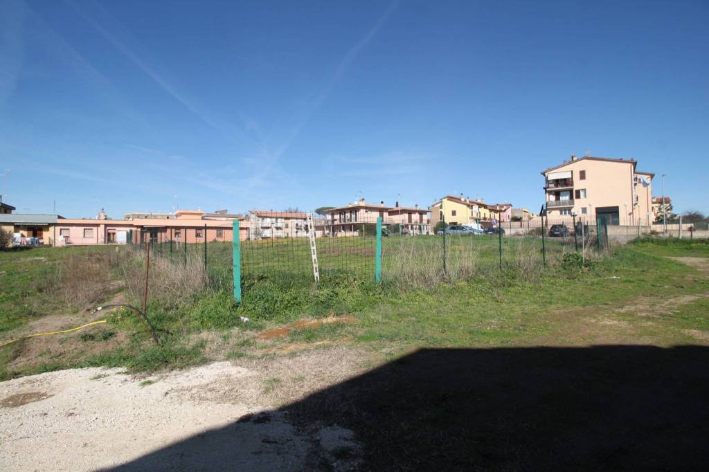immagine annuncio 9 di 12