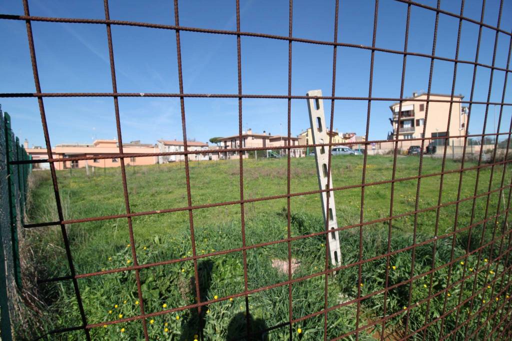 immagine annuncio 10 di 12