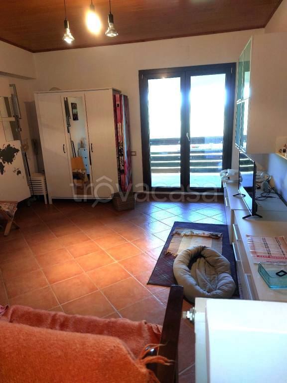 immagine annuncio 2 di 14