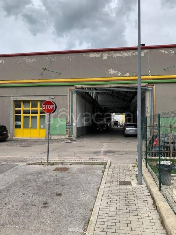 immagine annuncio 1 di 14