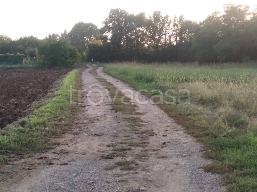 immagine annuncio 3 di 7