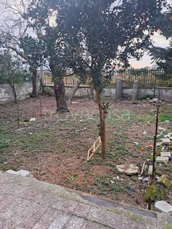 immagine annuncio 11 di 14