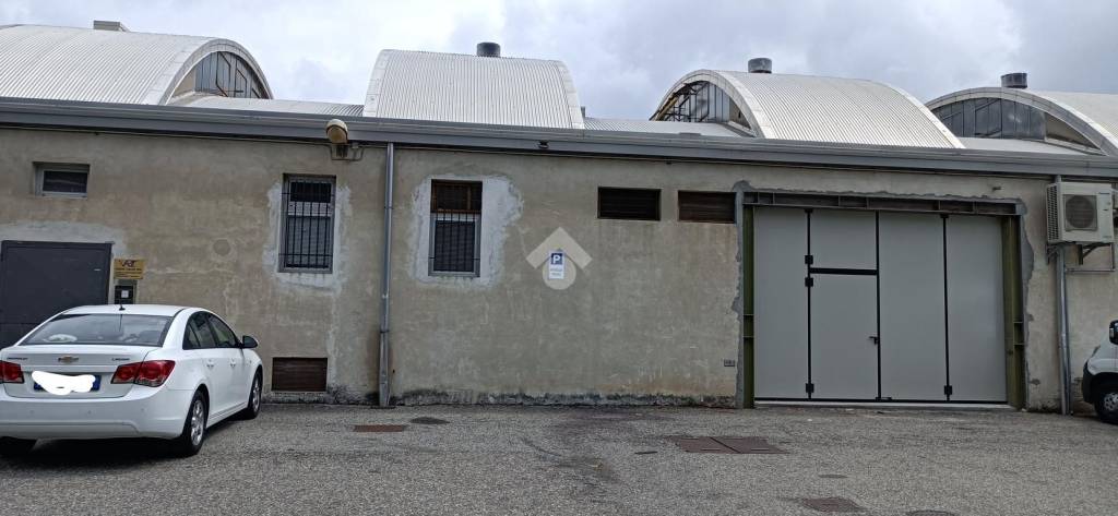 immagine annuncio 2 di 13