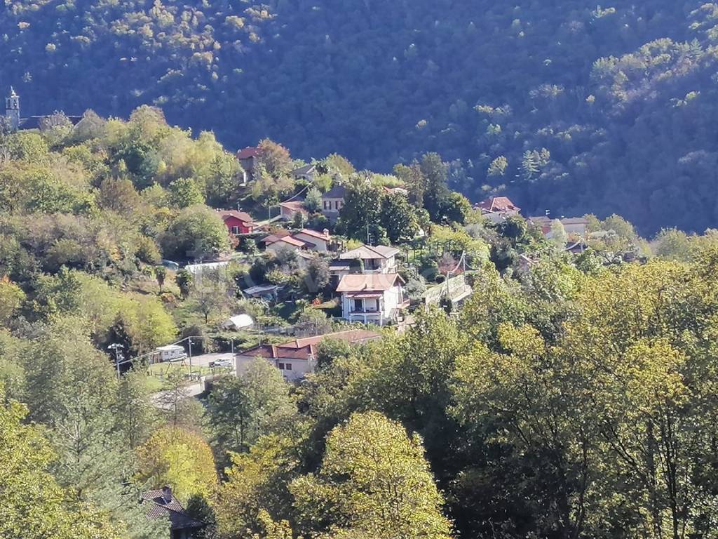 immagine annuncio 5 di 8