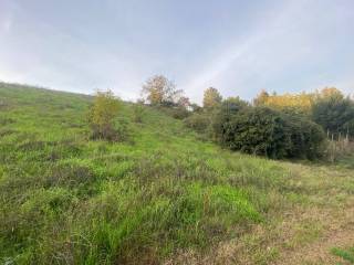 Terreno agricolo in vendita a san colombano al lambro via colombano valsasino