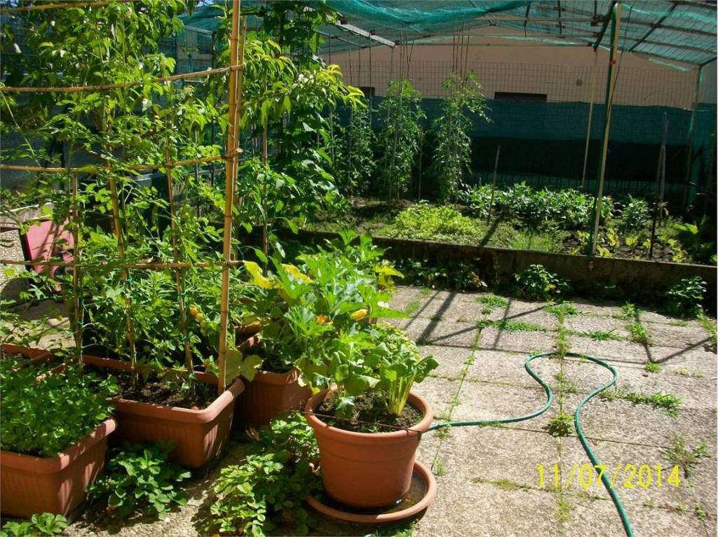 immagine annuncio 5 di 7