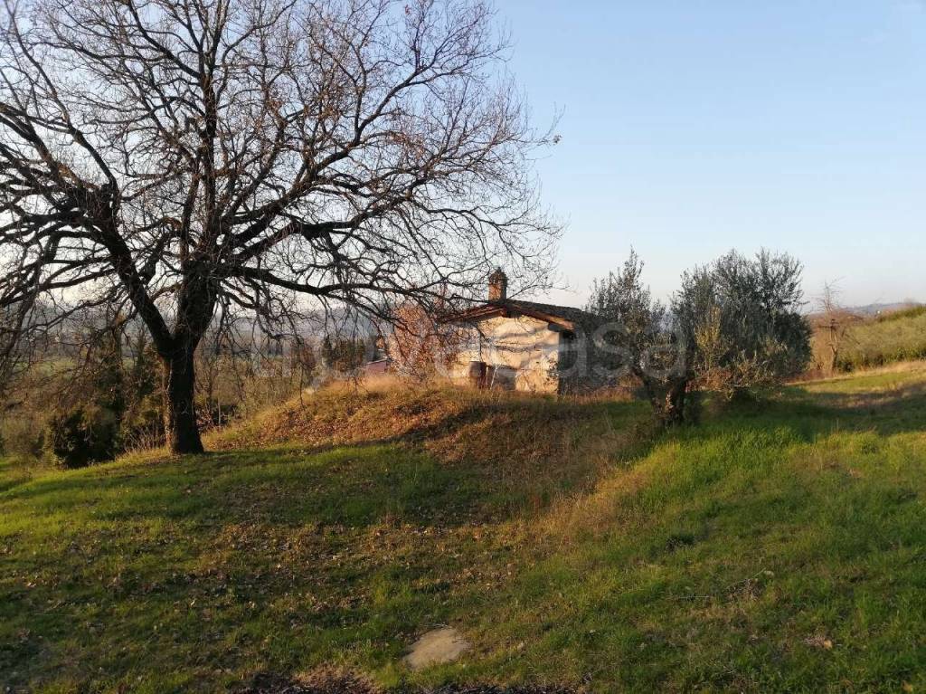 Terreno Agricolo in vendita ad Assisi via Villanova
