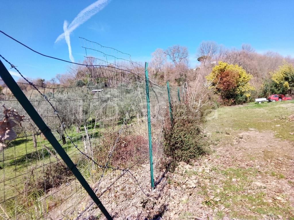 immagine annuncio 2 di 13