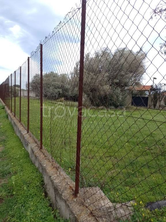 immagine annuncio 5 di 6