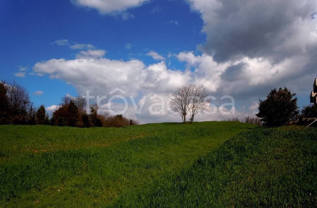 immagine annuncio 12 di 14