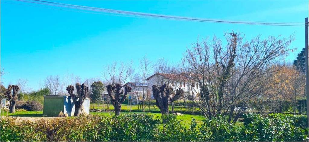 immagine annuncio 4 di 6