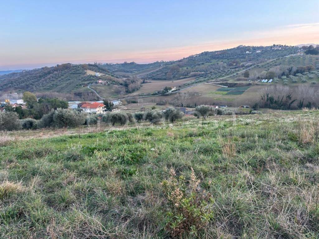 immagine annuncio 6 di 11