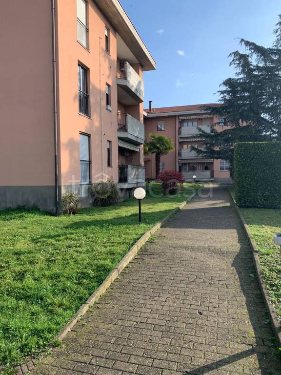 immagine annuncio 2 di 15