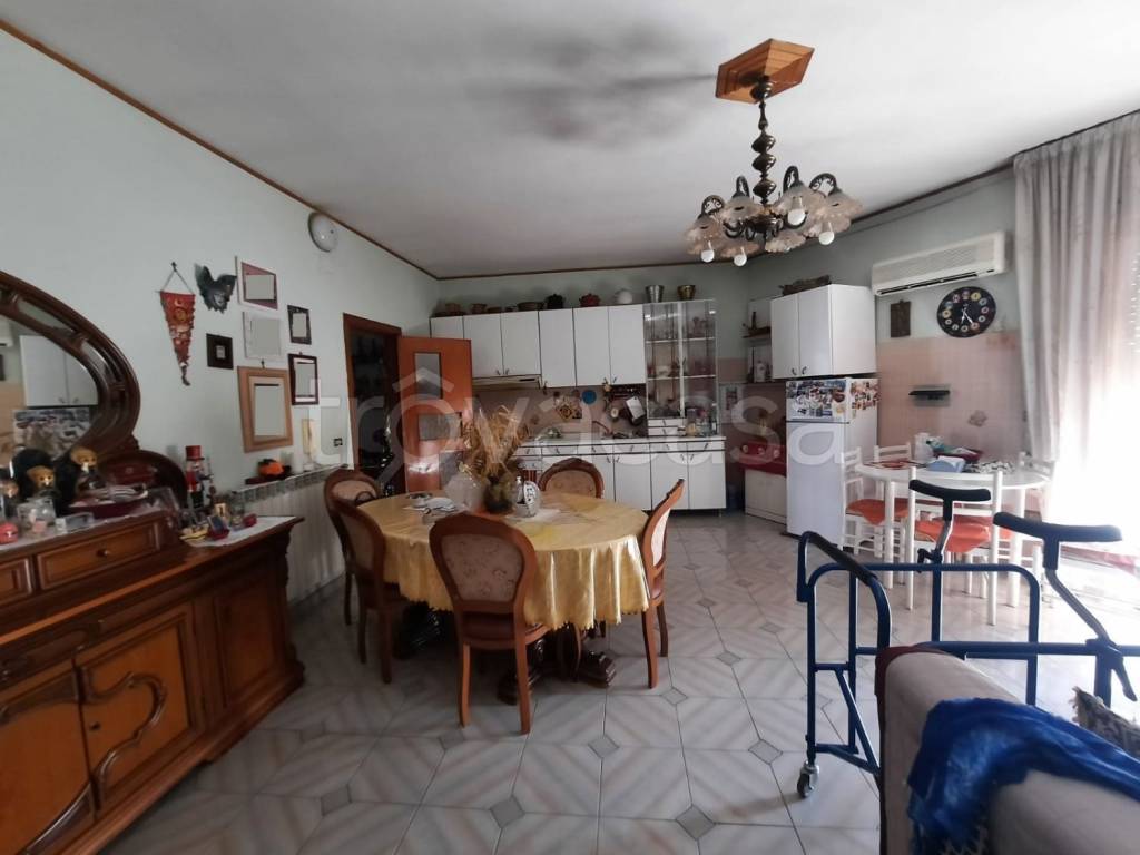immagine annuncio 4 di 14
