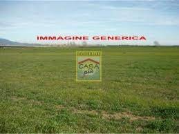 Terreno Agricolo in vendita a Cascina via Alberto Profeti, 251