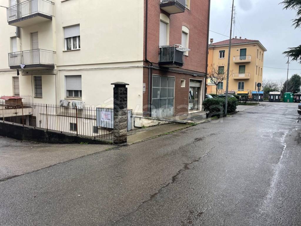 immagine annuncio 12 di 14