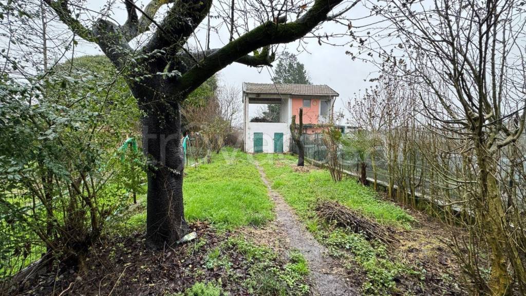 immagine annuncio 7 di 15