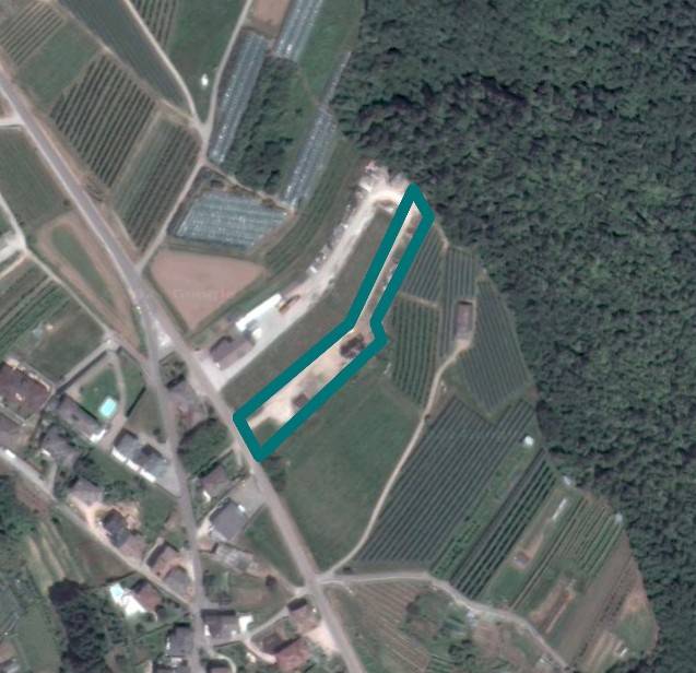 Terreno Agricolo in vendita a Tenna via Alberé