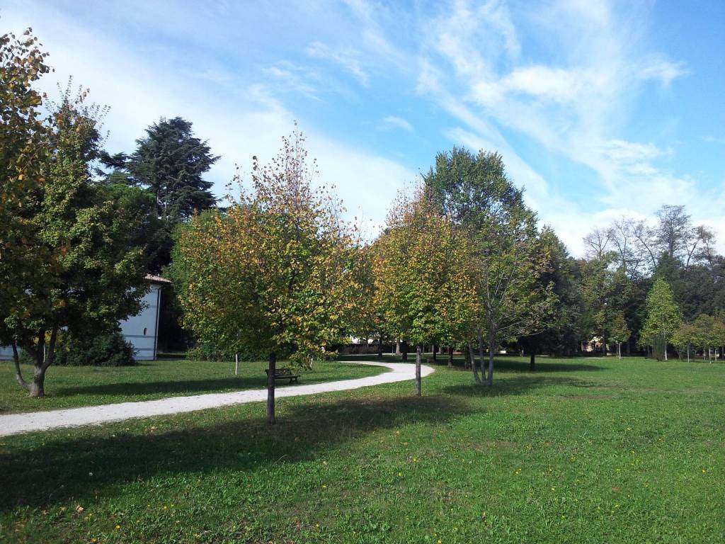 immagine annuncio 5 di 11