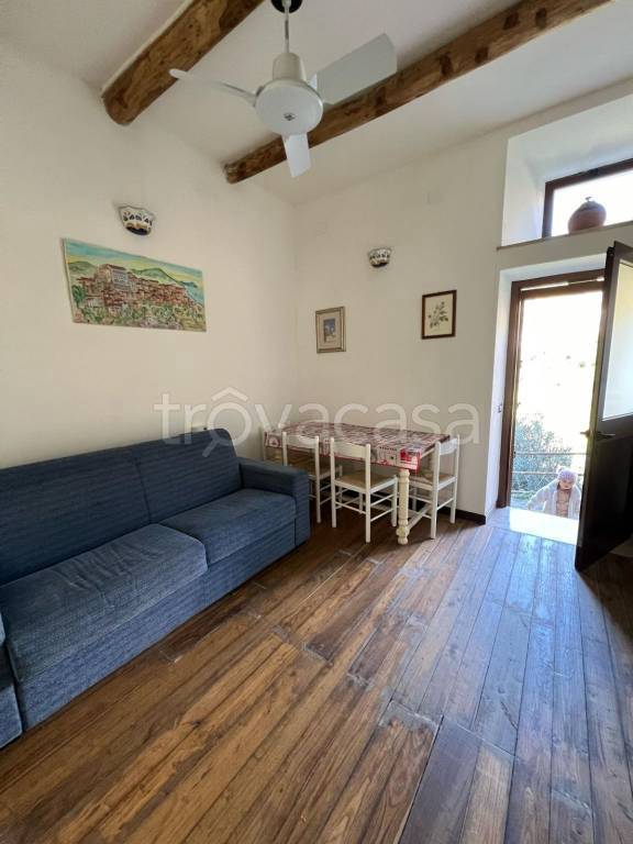 Appartamento in in affitto da privato a Pisciotta via Cilento
