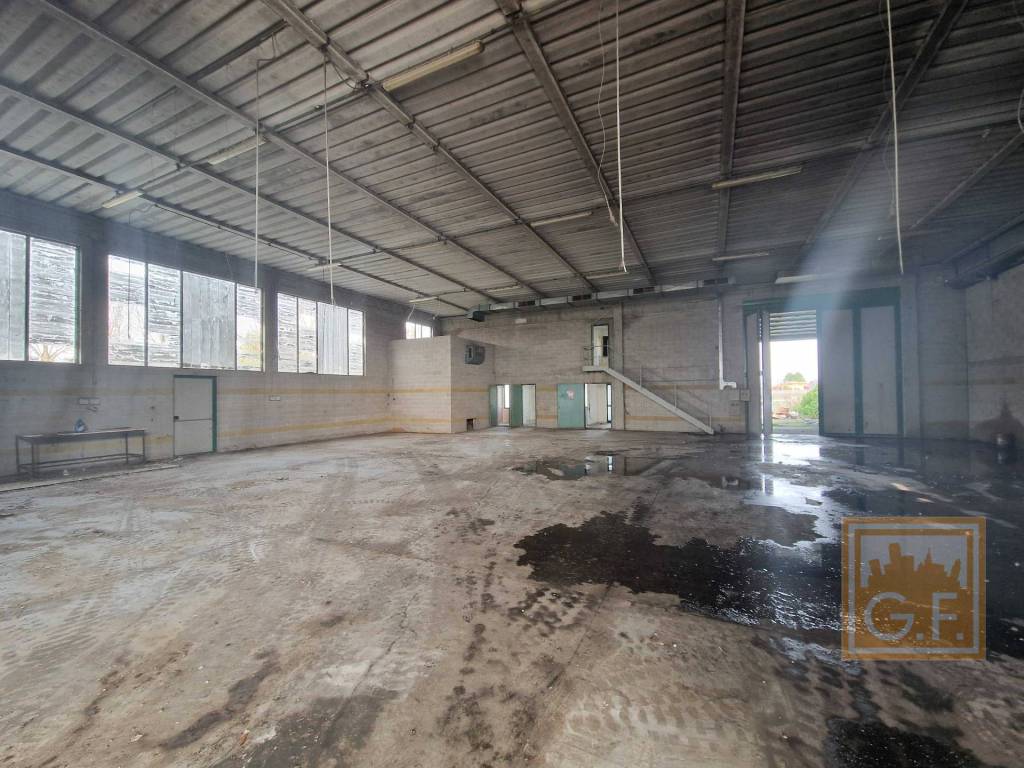 immagine annuncio 1 di 14