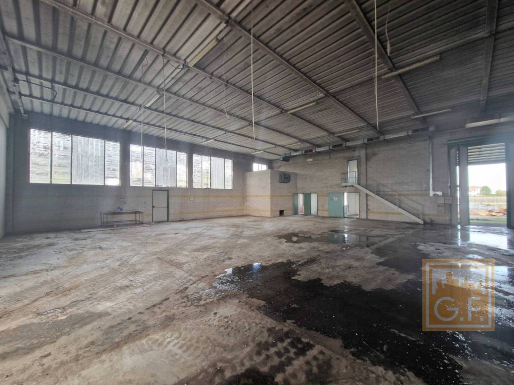 immagine annuncio 2 di 14