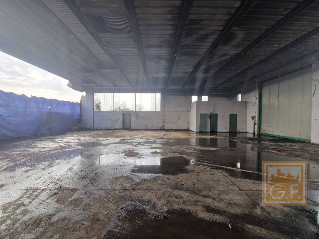 immagine annuncio 3 di 14