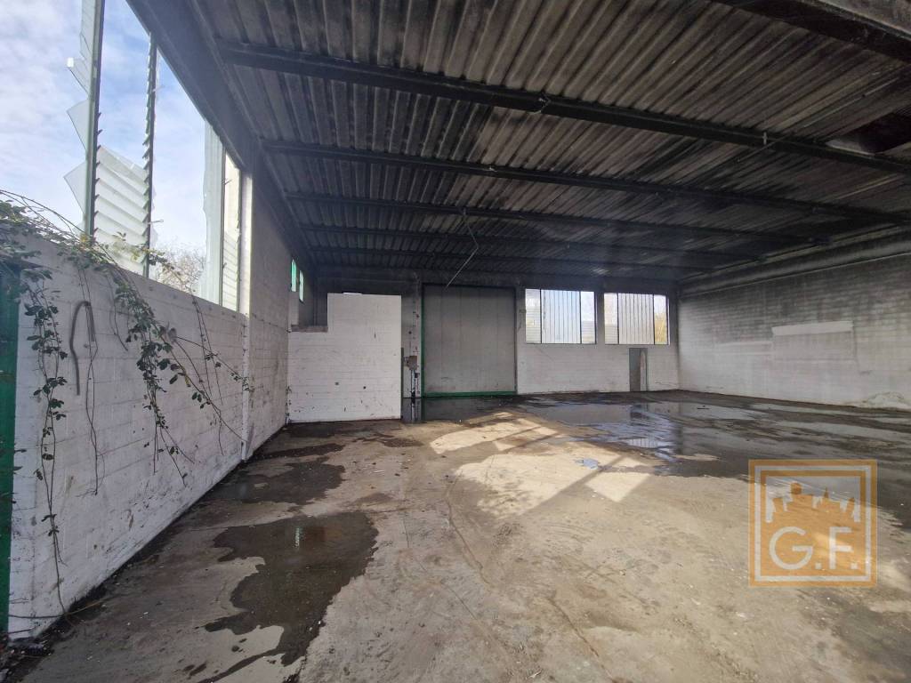 immagine annuncio 4 di 14