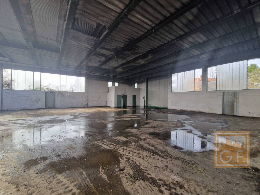 immagine annuncio 5 di 14