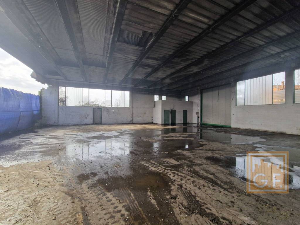 immagine annuncio 6 di 14