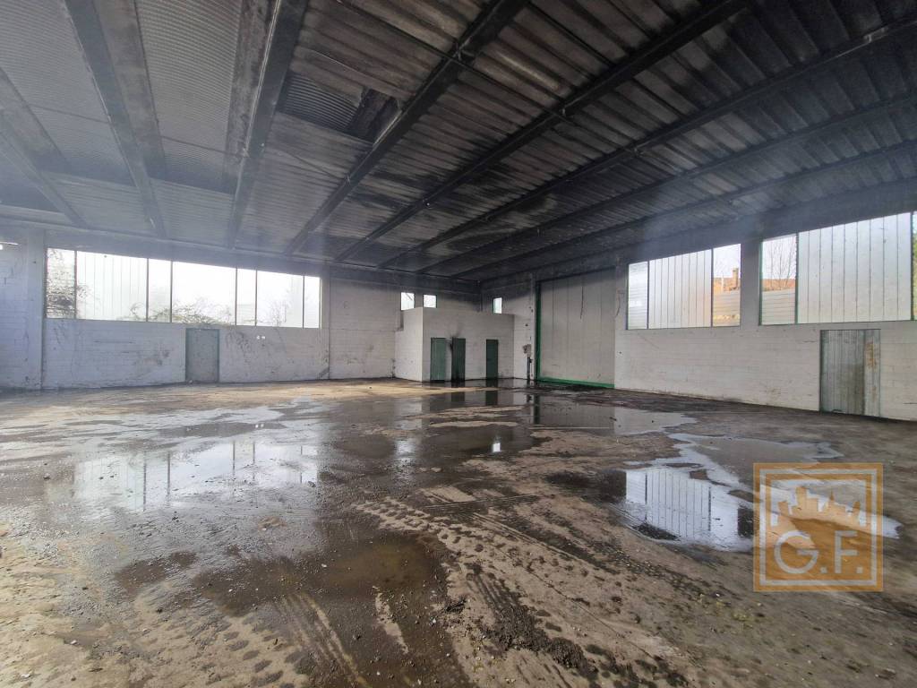 immagine annuncio 7 di 14