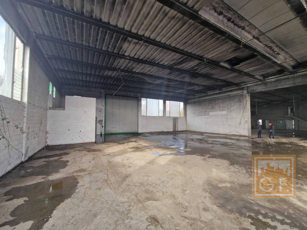 immagine annuncio 8 di 14