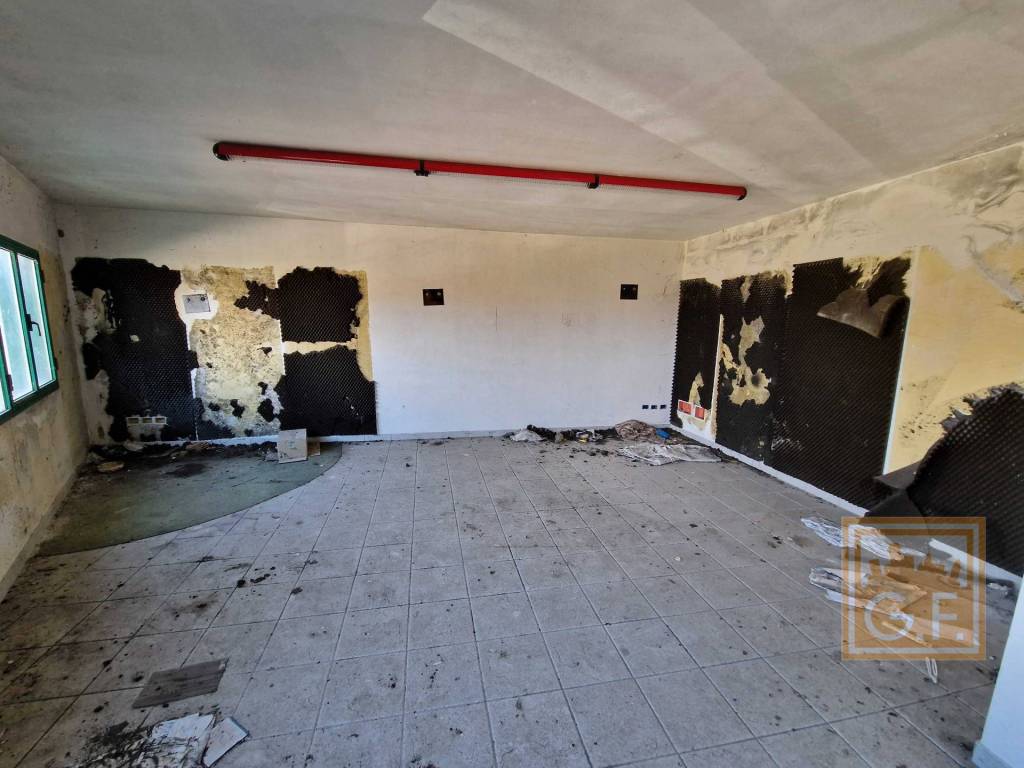 immagine annuncio 9 di 14