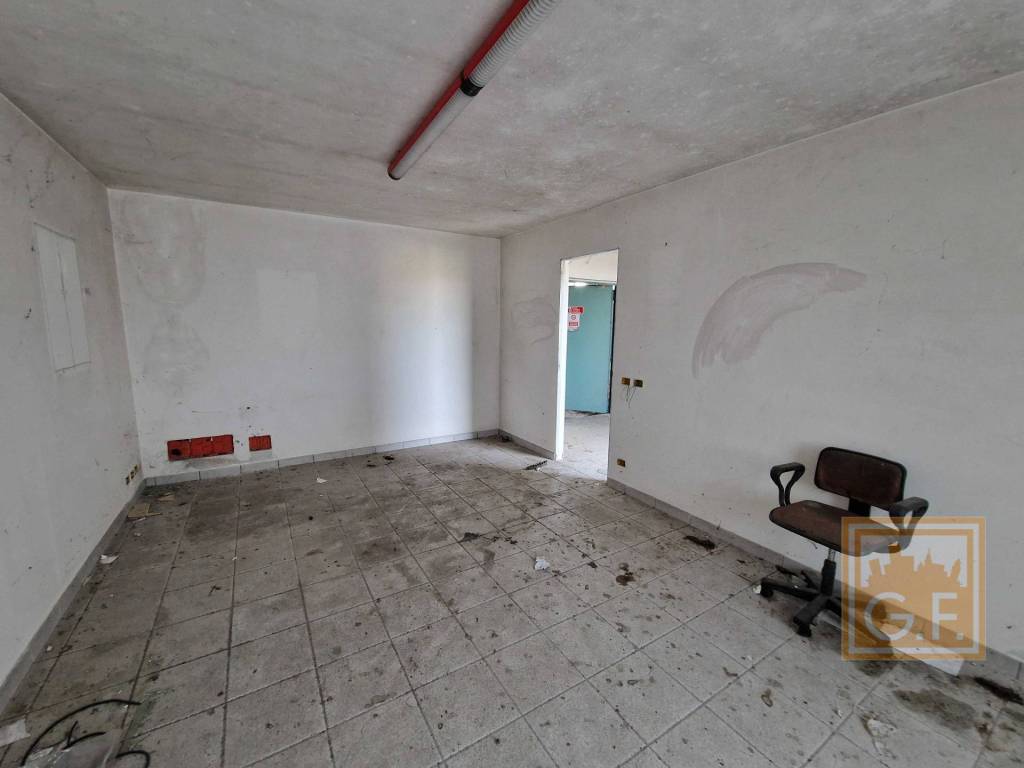 immagine annuncio 12 di 14