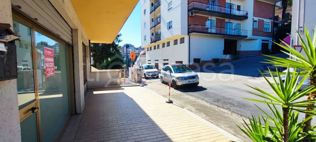 immagine annuncio 8 di 12
