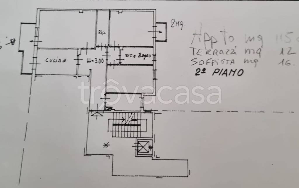 immagine annuncio 2 di 12